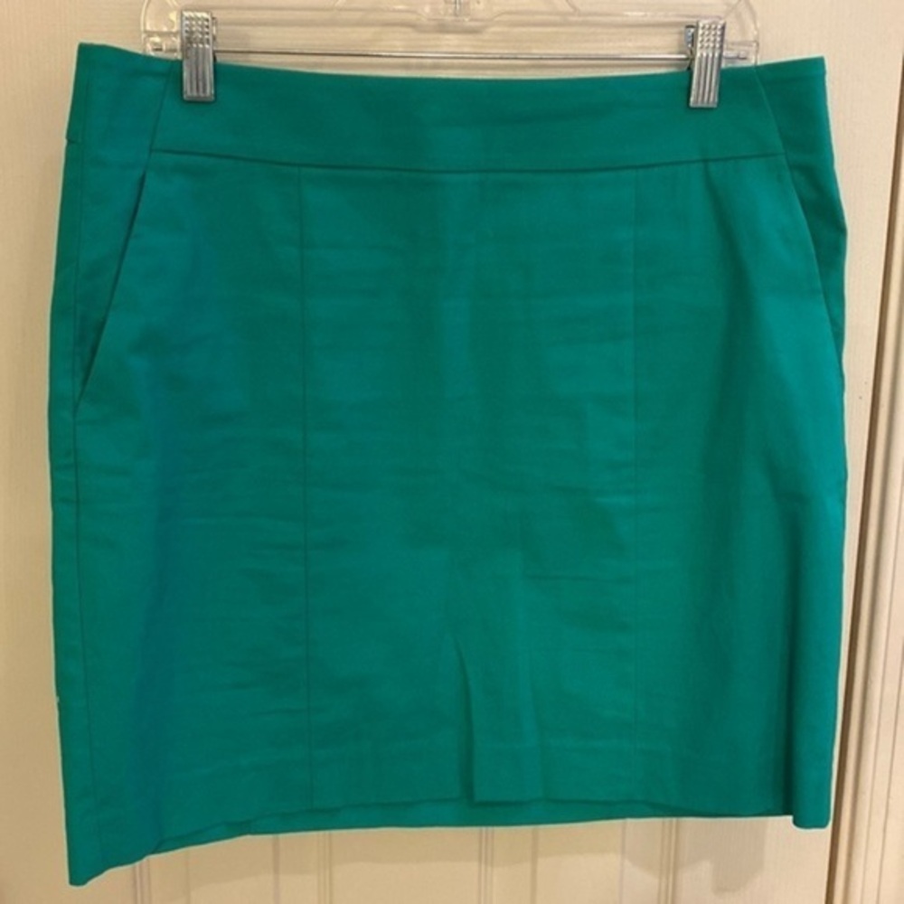 NWOT Ann Taylor Madison Skirt size 10​